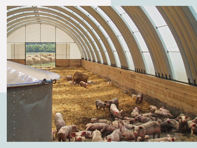 Строительство свинарников в Кропоткине