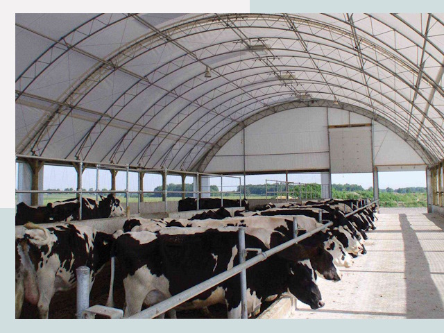 Тентовые коровники в Кропоткине